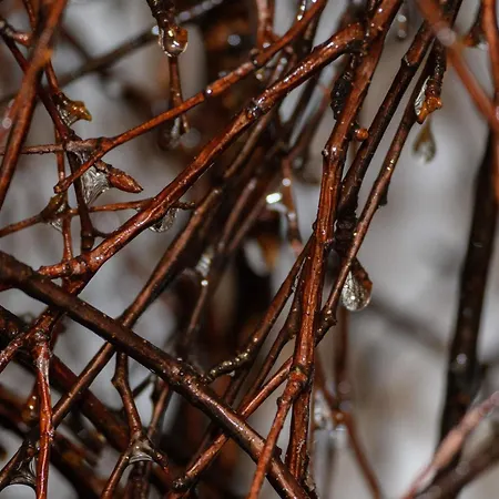 Zakopianska Osada & Alpehytte Zakopane